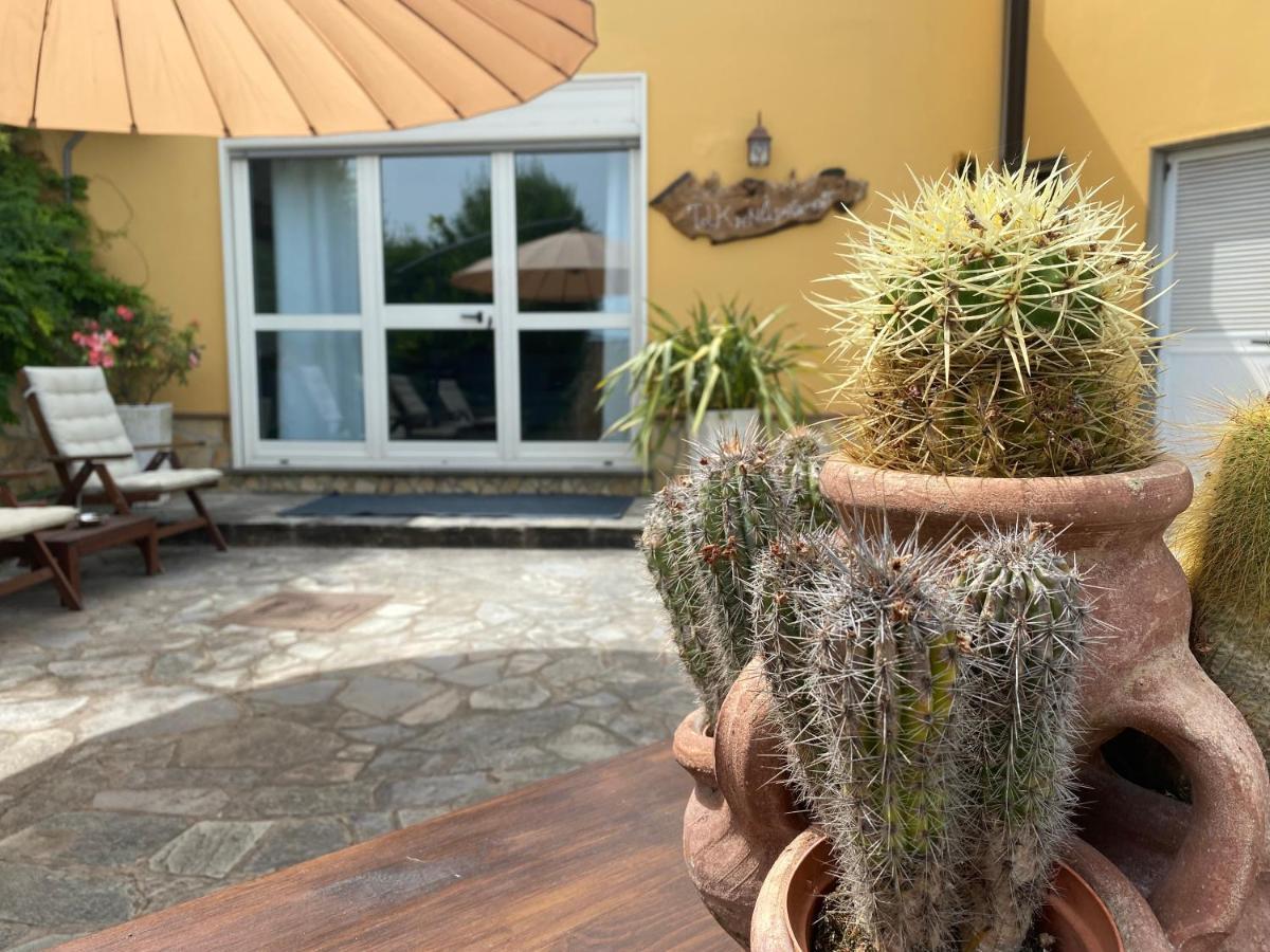 B&B Il Giardino Di Armida Ogliastro Cilento Exterior foto