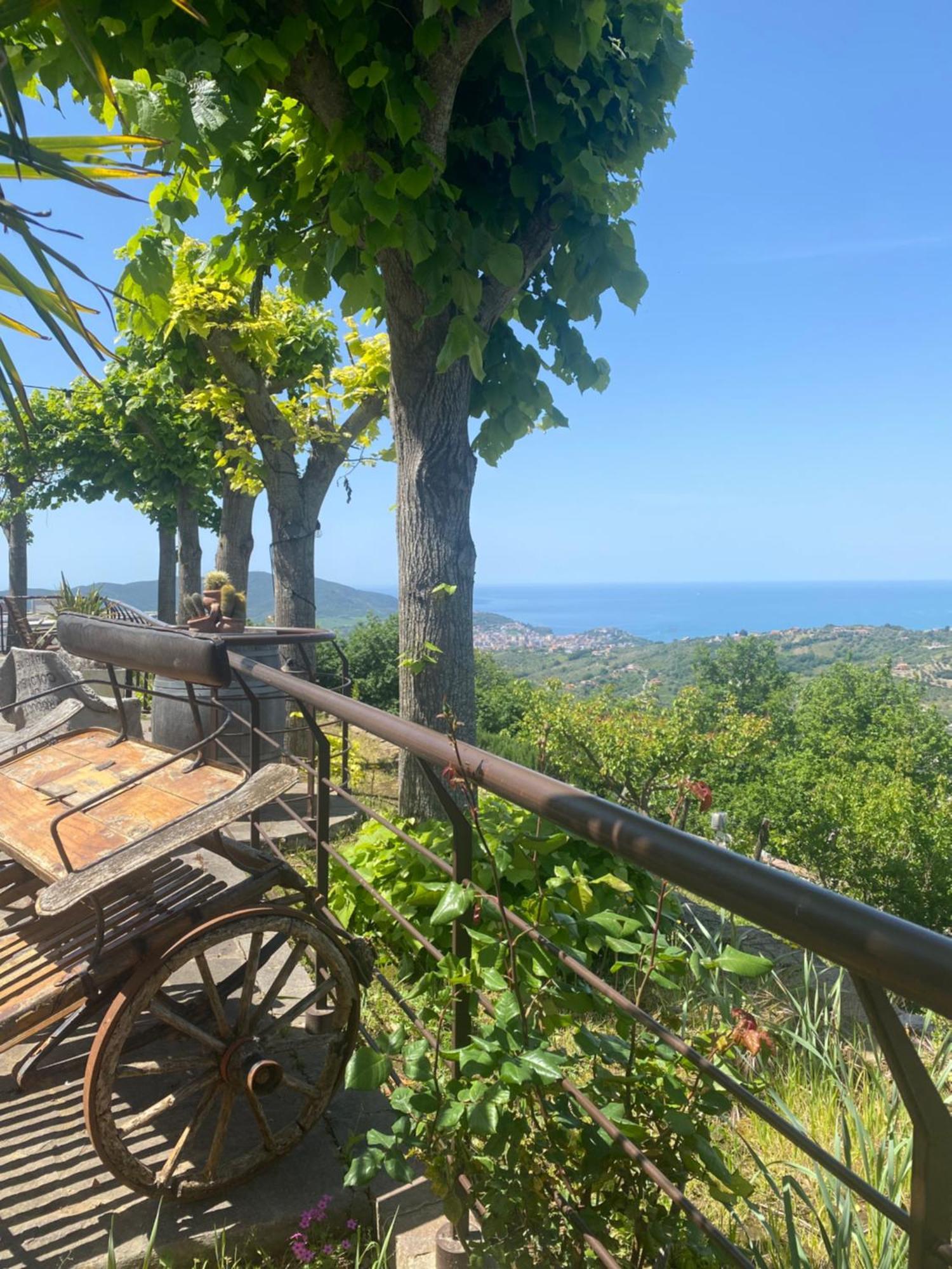 B&B Il Giardino Di Armida Ogliastro Cilento Exterior foto