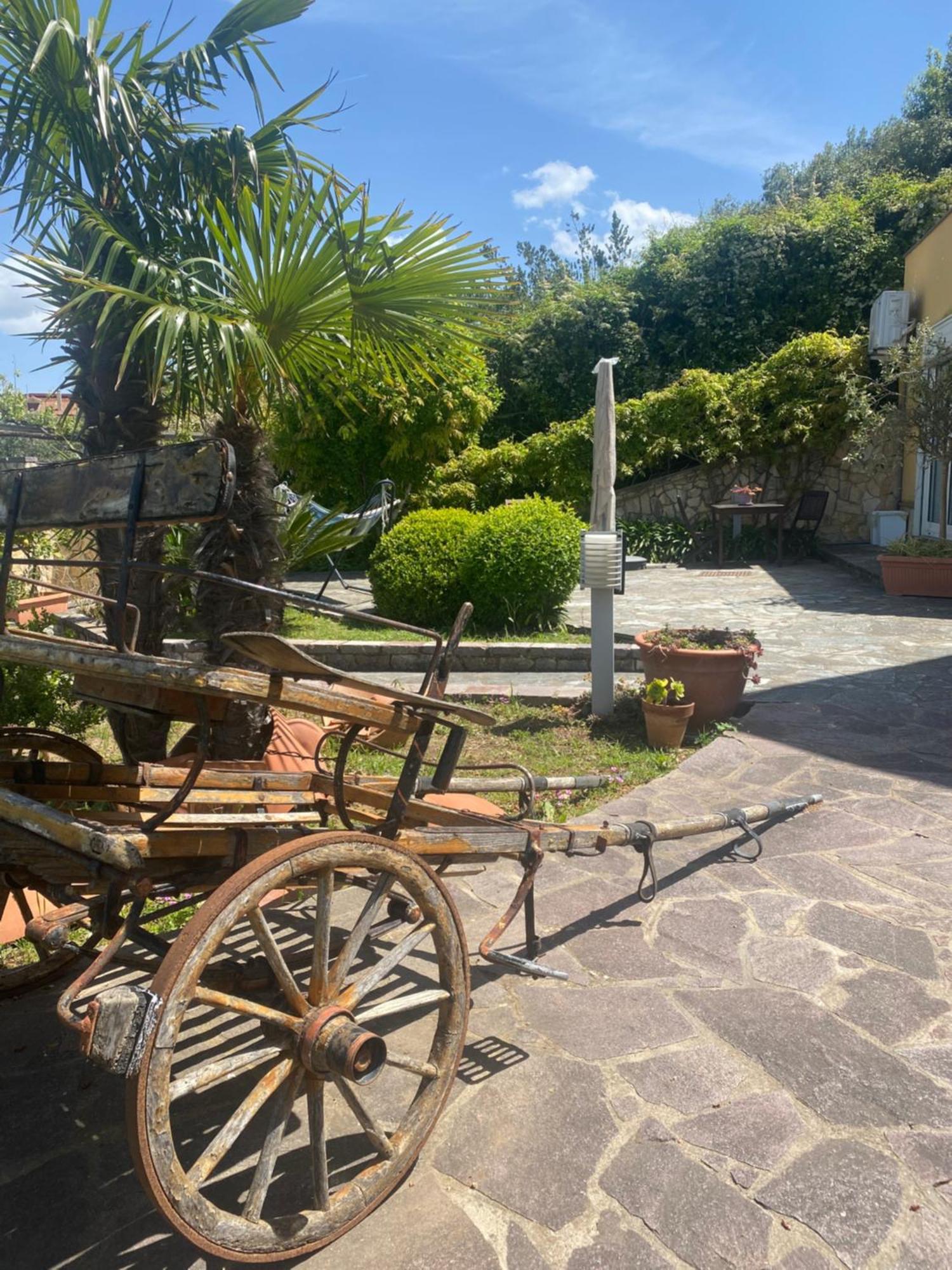 B&B Il Giardino Di Armida Ogliastro Cilento Exterior foto